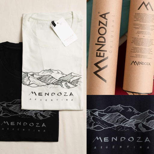 MERCHANDISING- Remera Cordillera